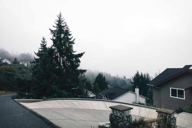 Residential neighborhood with homes and trees