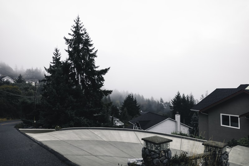 Residential neighborhood with homes and trees